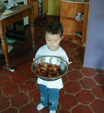 Sweet Potatoes